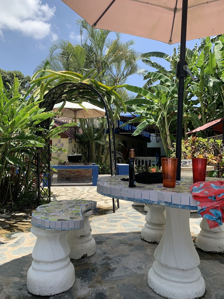 Photo - Sana El Jardin Secreto