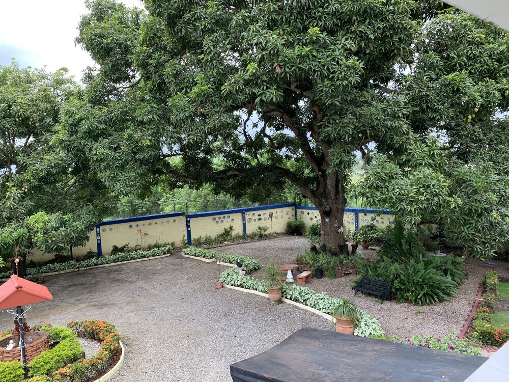 Photo - Sana El Jardin Secreto