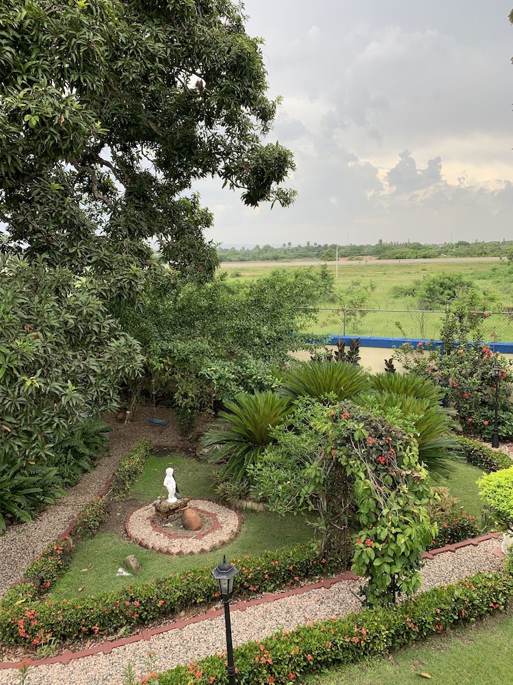 Photo - Sana El Jardin Secreto