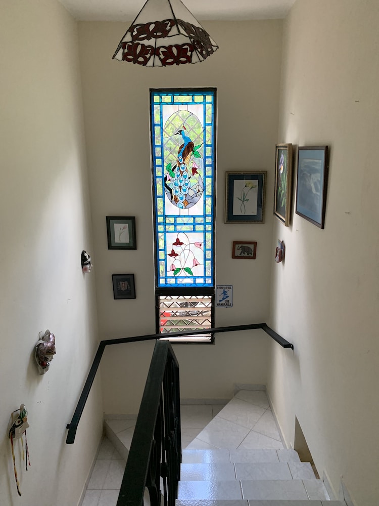 Photo - Sana El Jardin Secreto