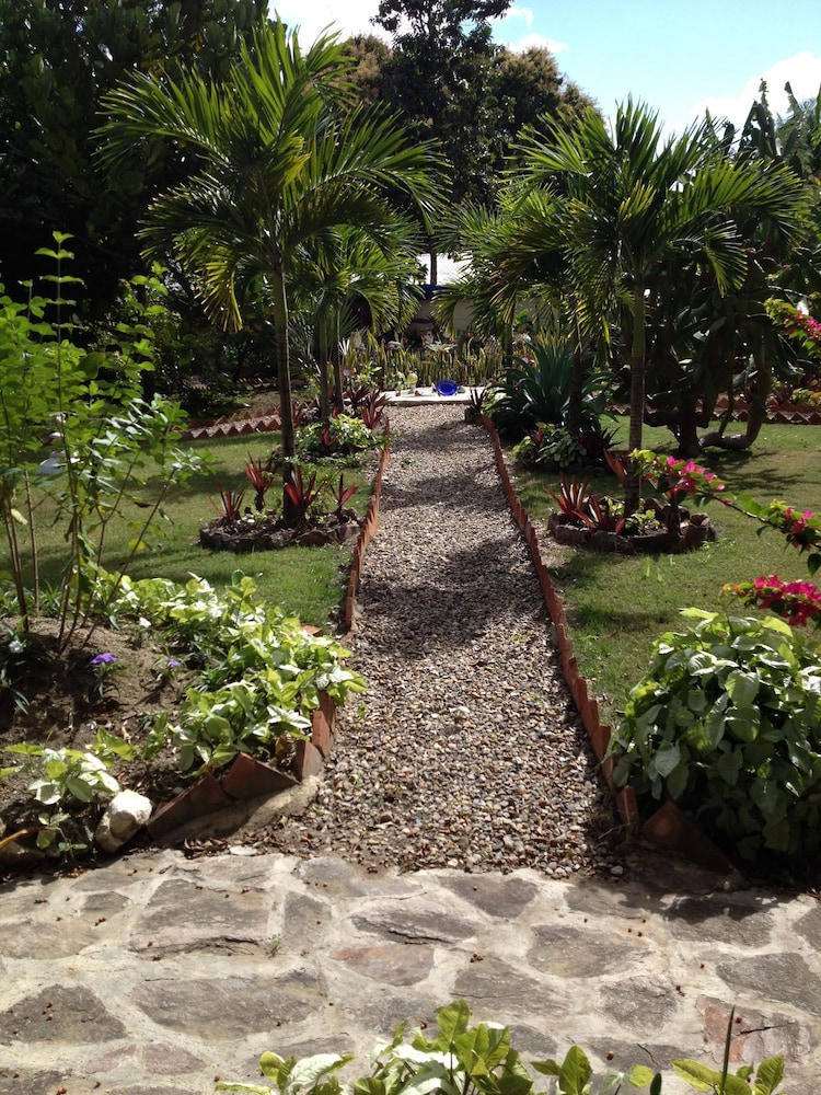 Photo - Sana El Jardin Secreto