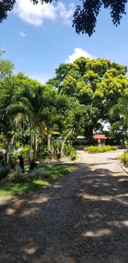 Photo - Sana El Jardin Secreto