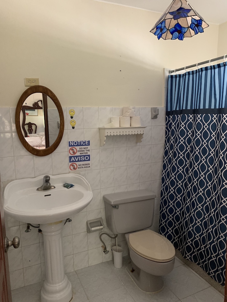 Photo - Sana El Jardin Secreto