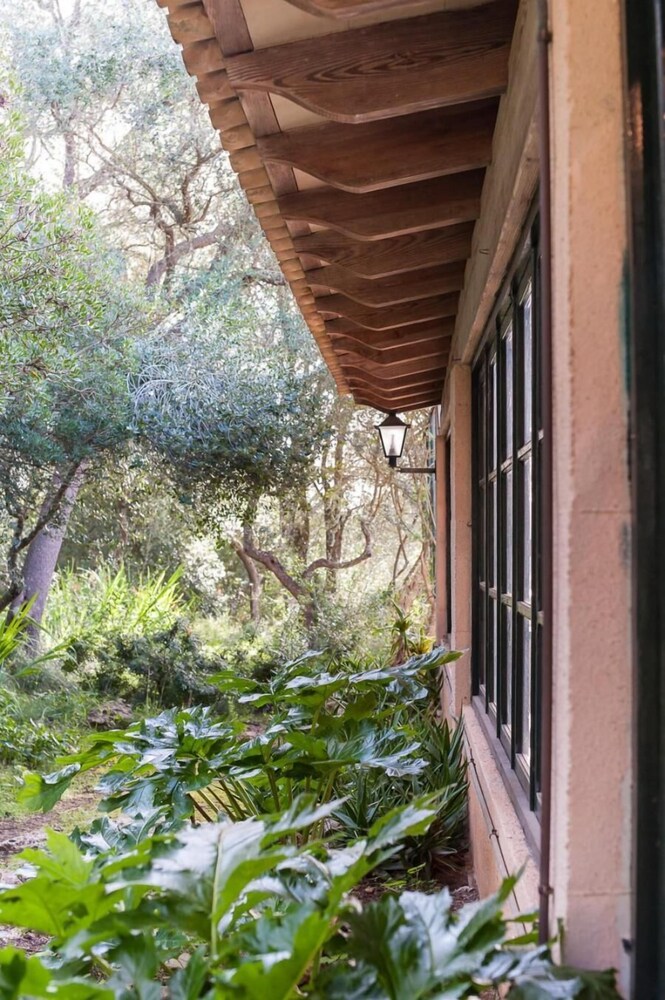 Photo - Sa Casa Rotja