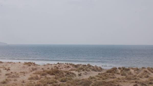 On the beach