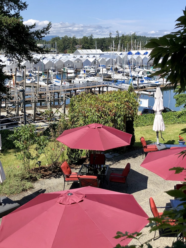 The Latch Inn in Victoria | Best Rates & Deals on Orbitz