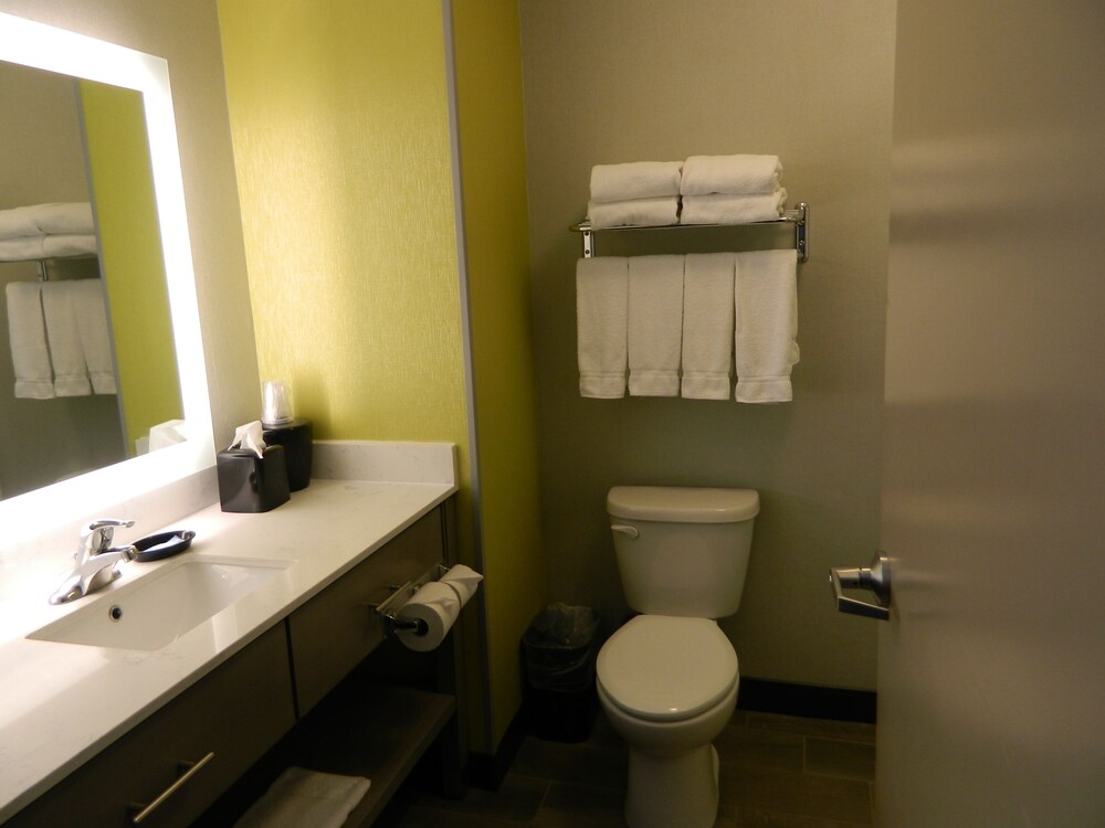 Bathroom, Holiday Inn Express & Suites Shippensburg, an IHG Hotel