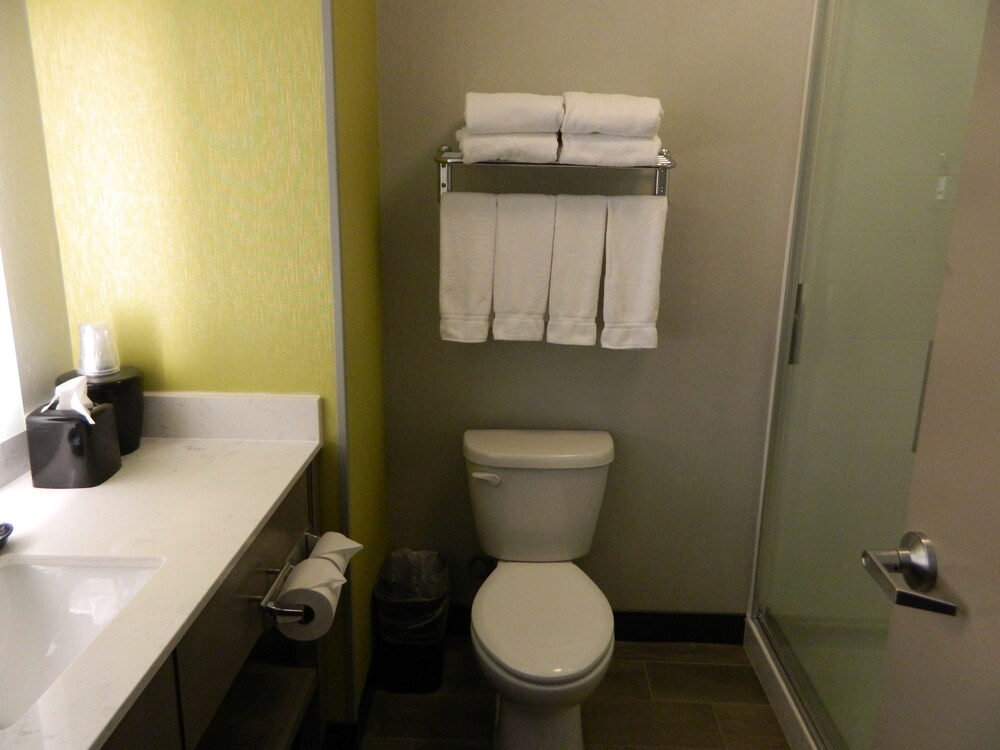 Bathroom, Holiday Inn Express & Suites Shippensburg, an IHG Hotel