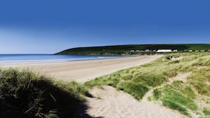 On the beach