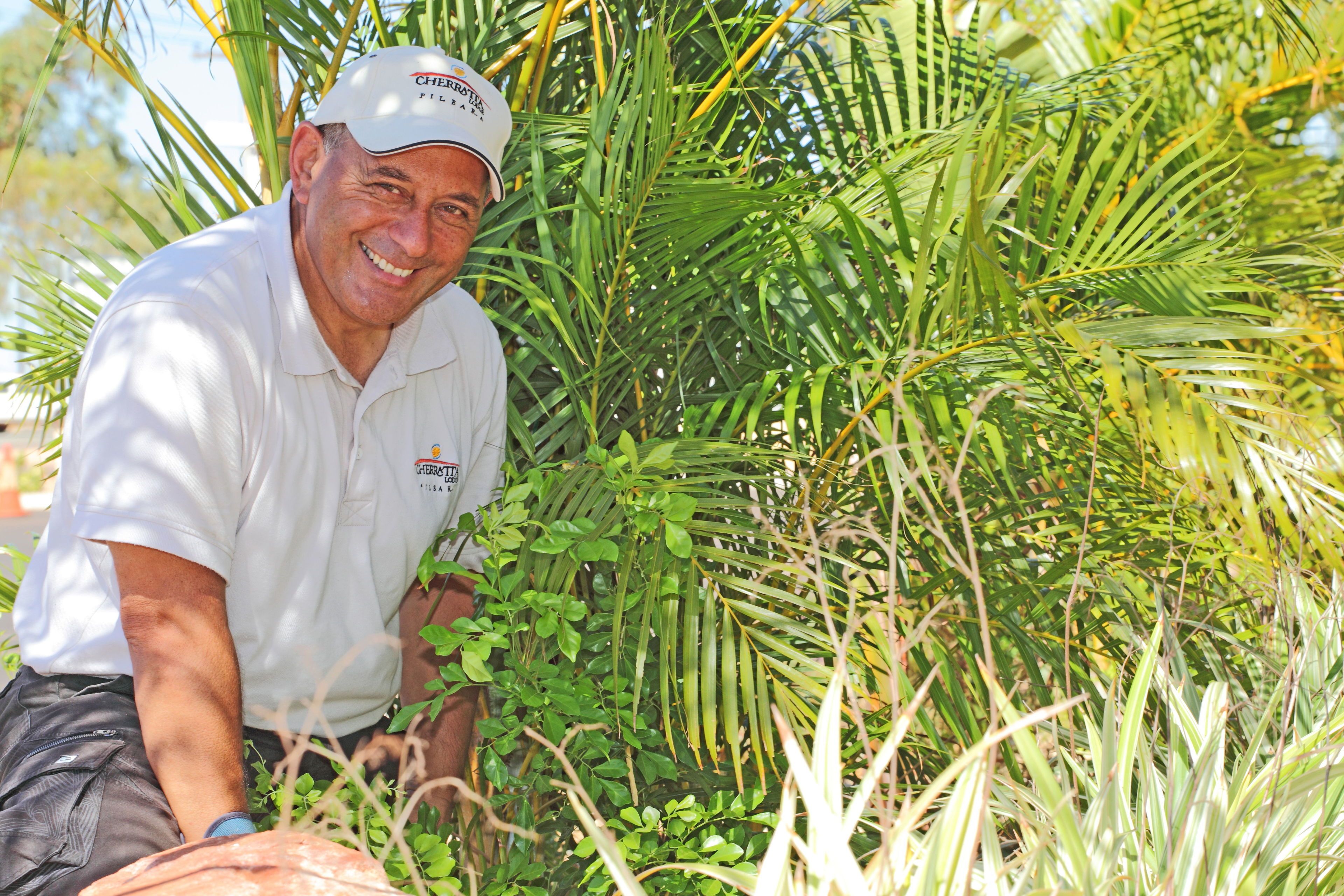 Cherratta Lodge (TWA)