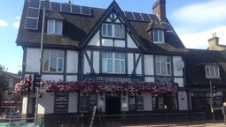 The Furzedown The Furzedown
