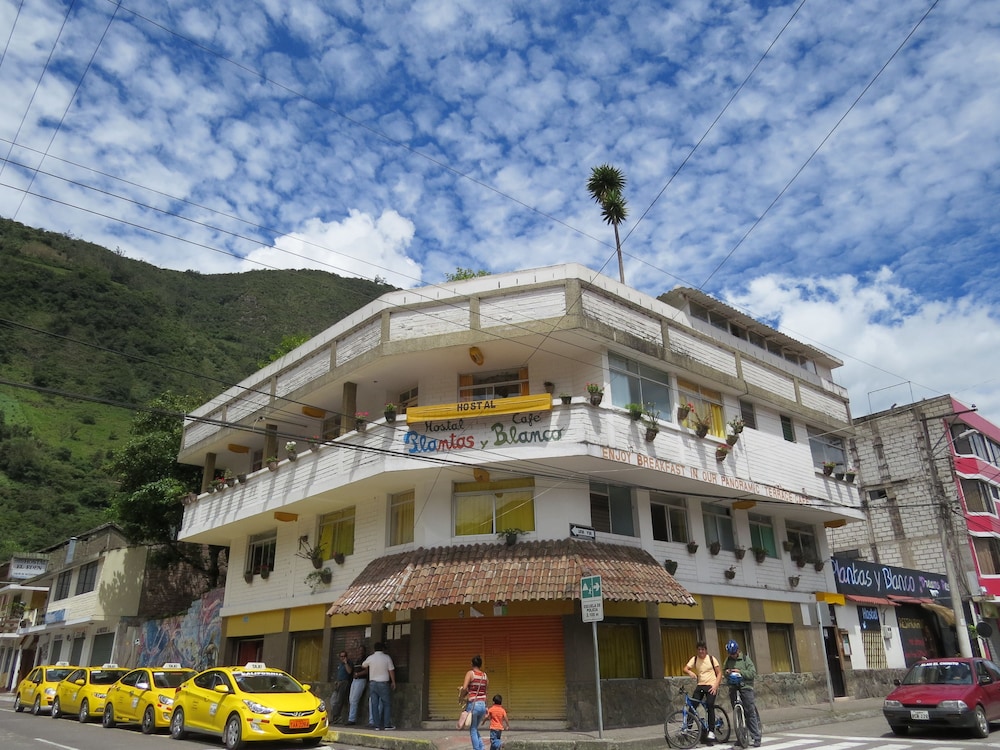 Hostal Plantas y Blanco in Baños, Ecuador
