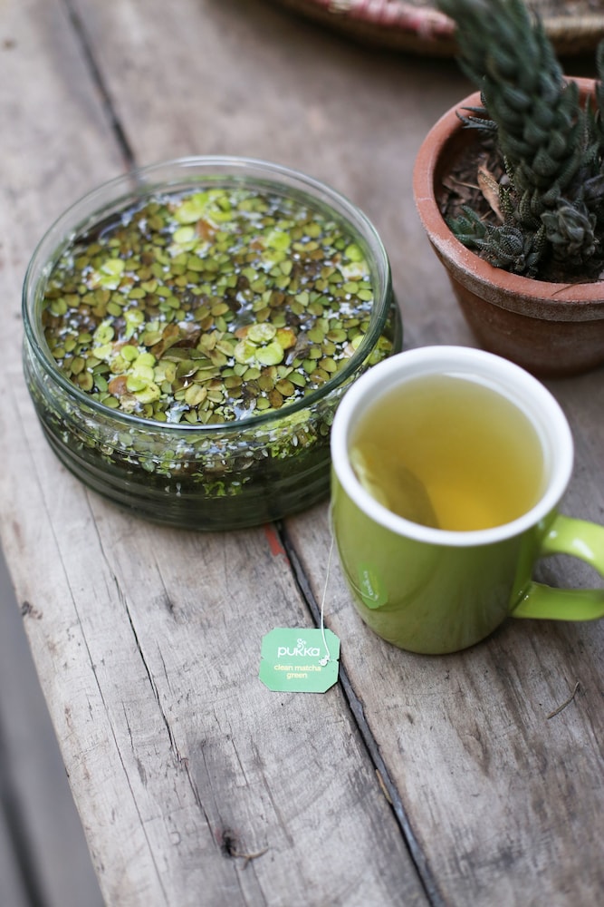 Foto - Hotel Boutique Casa Noble