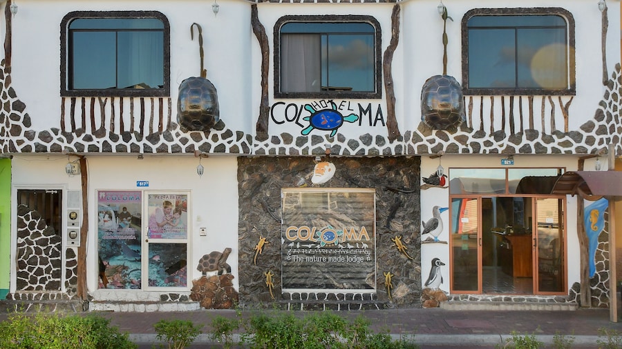 Hotel Coloma Galapagos