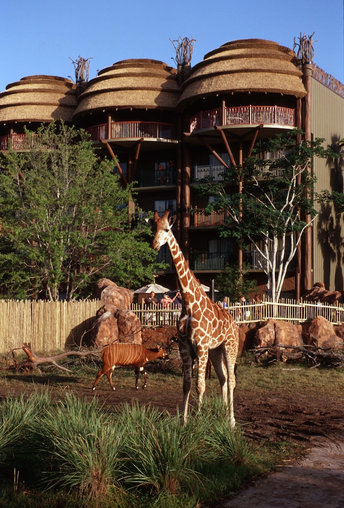 Disney's Animal Kingdom Villas - Jambo House in Orlando | Best Rates