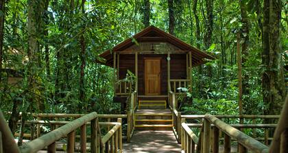 Evergreen Lodge