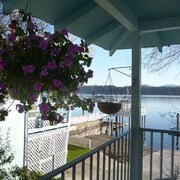 pet friendly hotels in clearlake ca