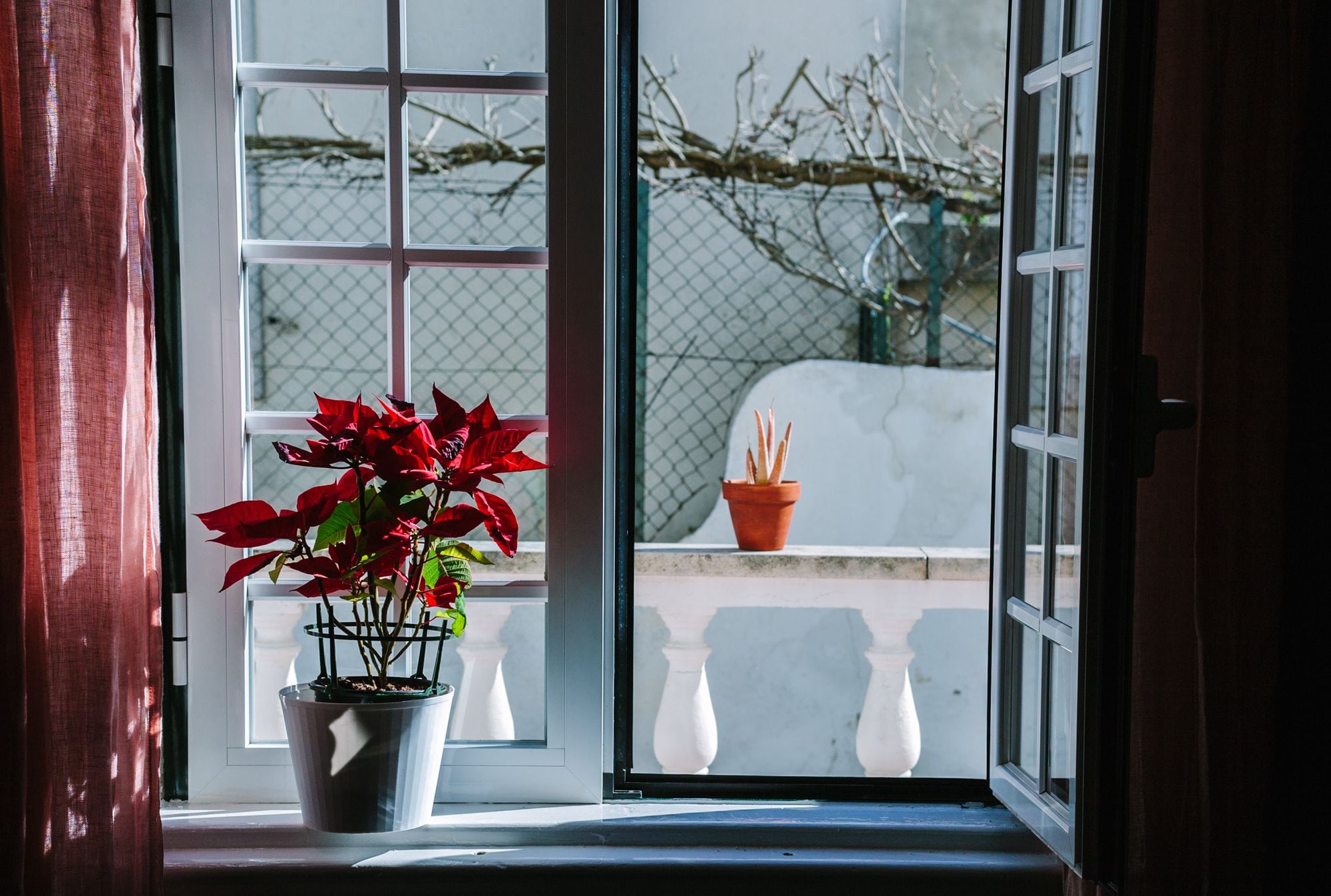 Eco Ljmonade Hostel in Cascais, Portugal