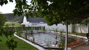 Outdoor pool, sun loungers