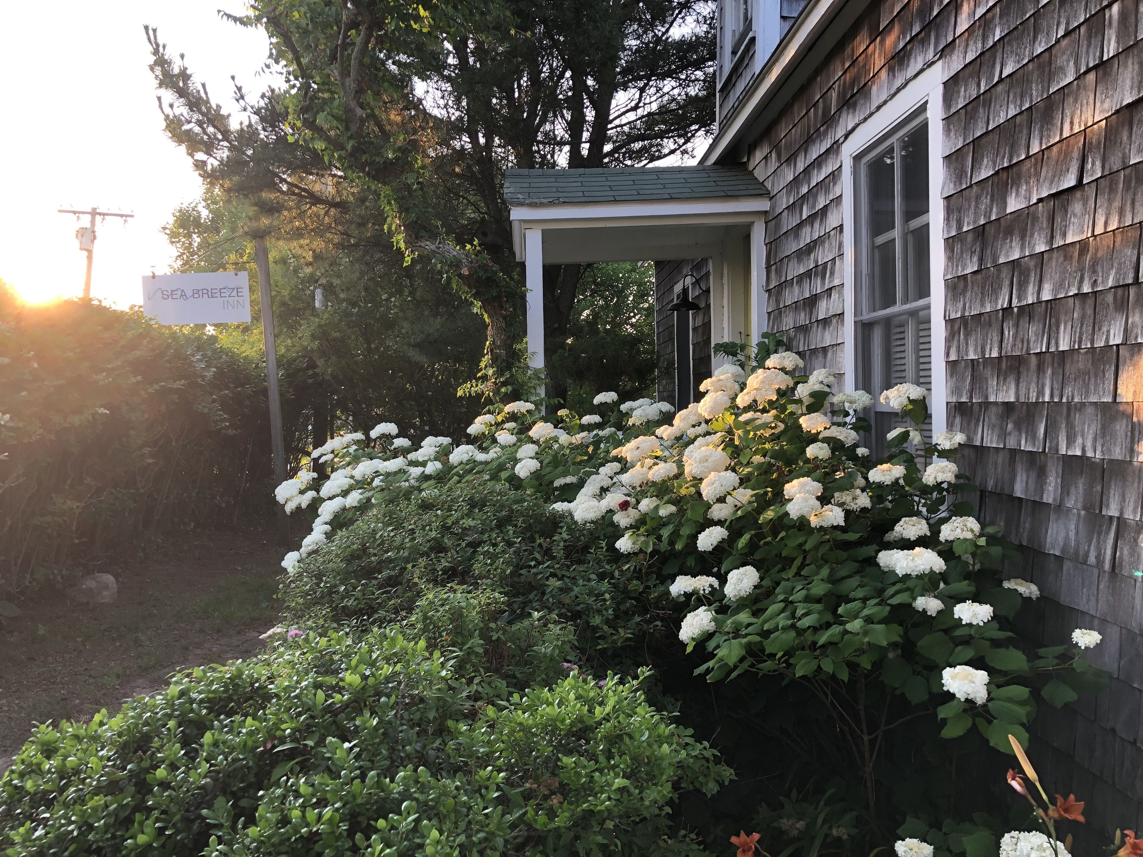 Rhea S Inn By The Sea In Newport Get Low 2021 Rates On Expedia