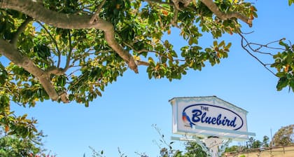 Bluebird Inn
