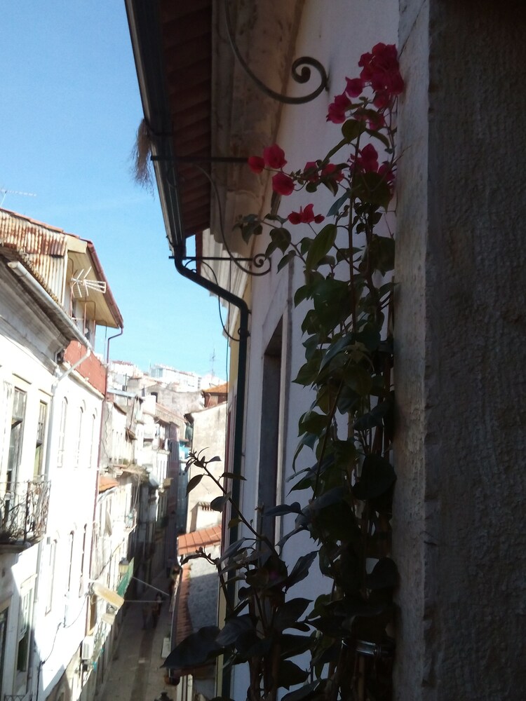 Foto - Residencial Moeda