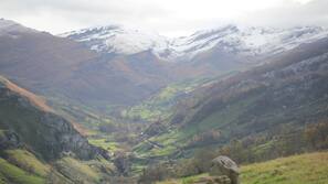Vistas desde la habitación
