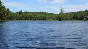 Private beach, rowing, fishing