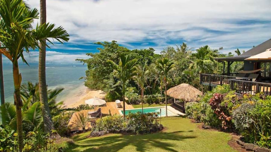 Taveuni Palms