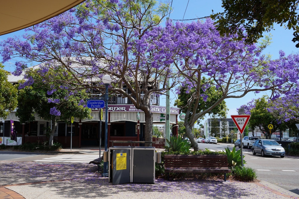 The Manly Hotel, Brisbane in Brisbane Best Rates & Deals on Orbitz