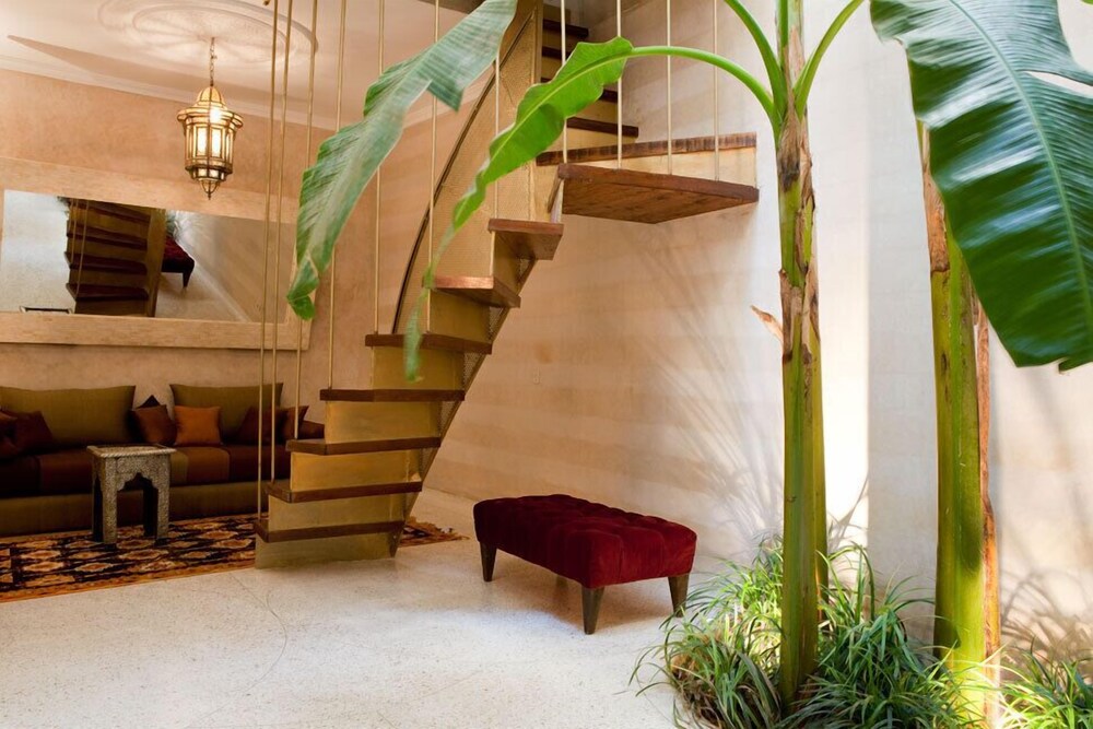 Photo - Riad Alkaderi