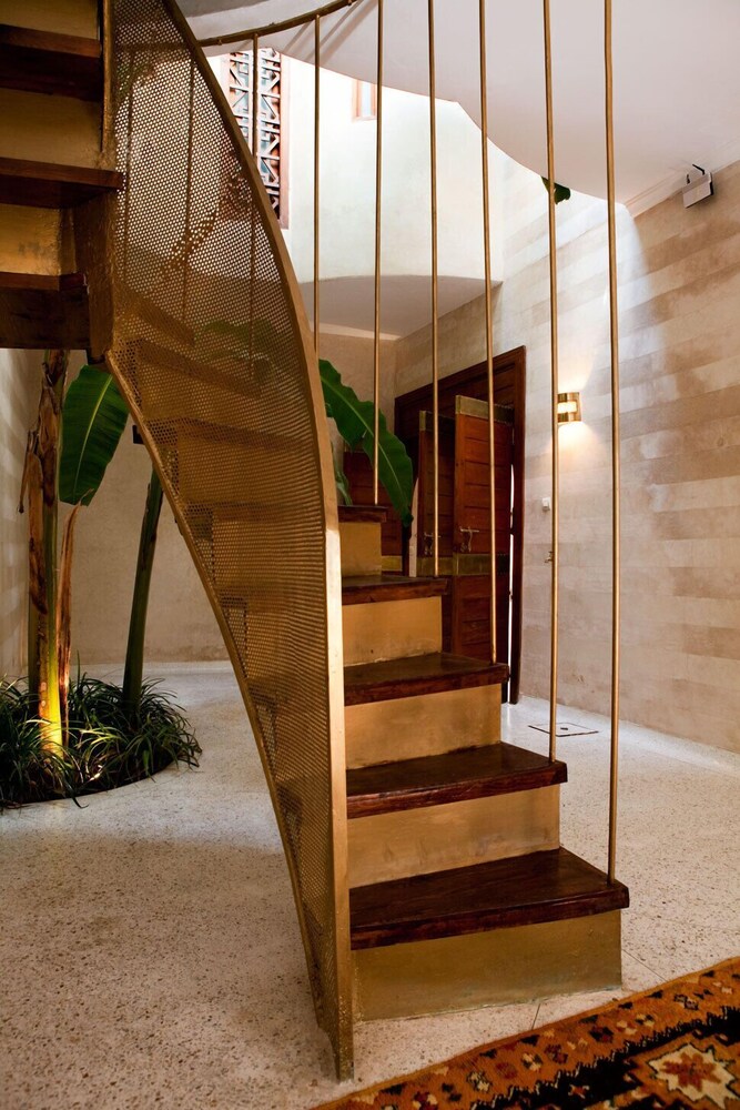 Photo - Riad Alkaderi