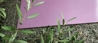 京都市中心部の格安子連れにおすすめホテル予約 ファミリー向け エクスペディア 京都市中心部の格安子連れにおすすめホテル予約 ファミリー向け エクスペディア