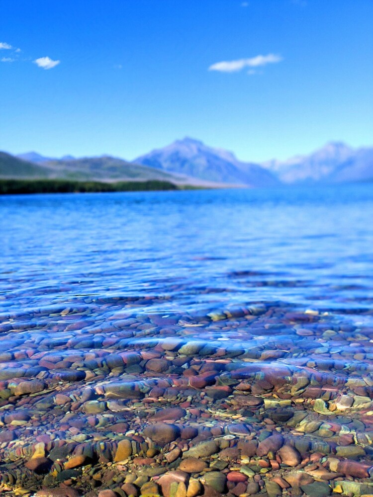 Halfway Hotel Deals & Reviews (Essex, USA) Wotif