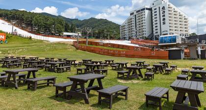 Bears Town Resort