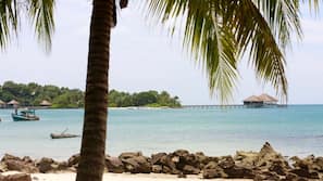 On the beach, beach bar, kayaking, fishing
