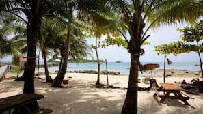 On the beach, beach bar, kayaking, fishing