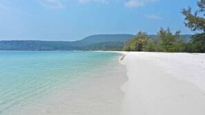 On the beach, beach bar, kayaking, fishing