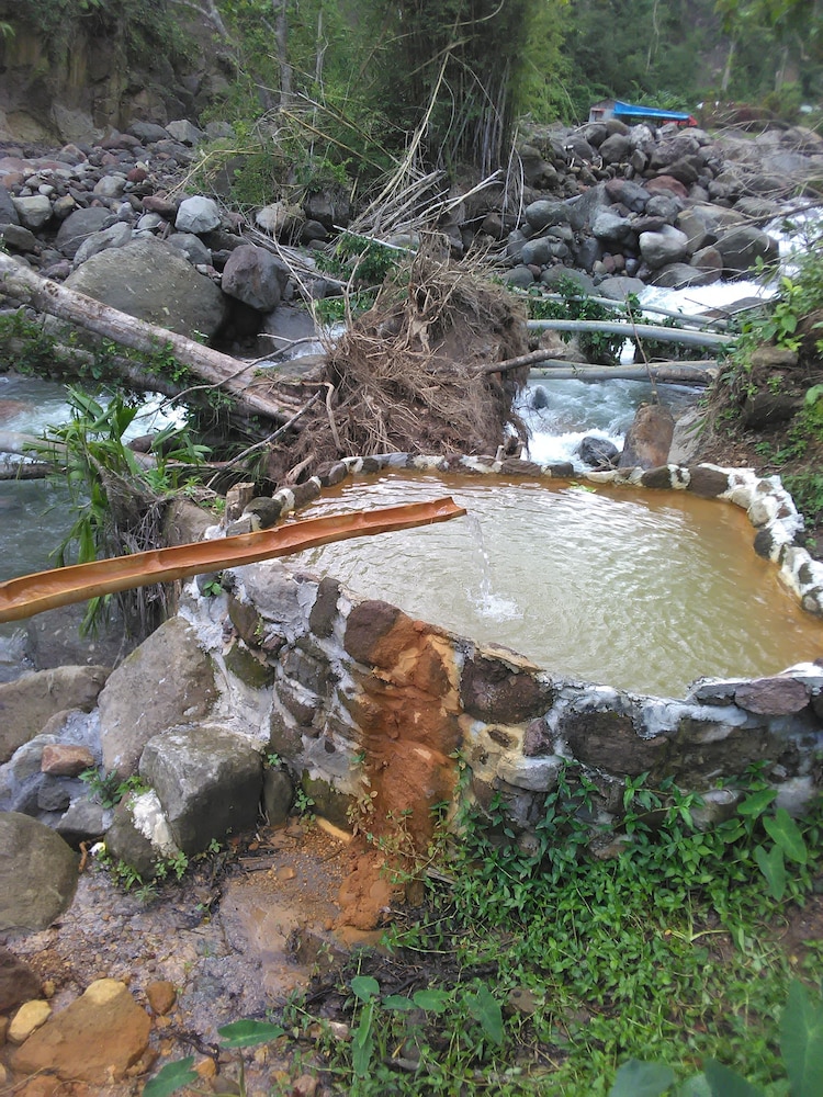 Natty Tropical Valley in Roseau, Dominica