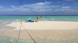 Plage, plongée sous-marine