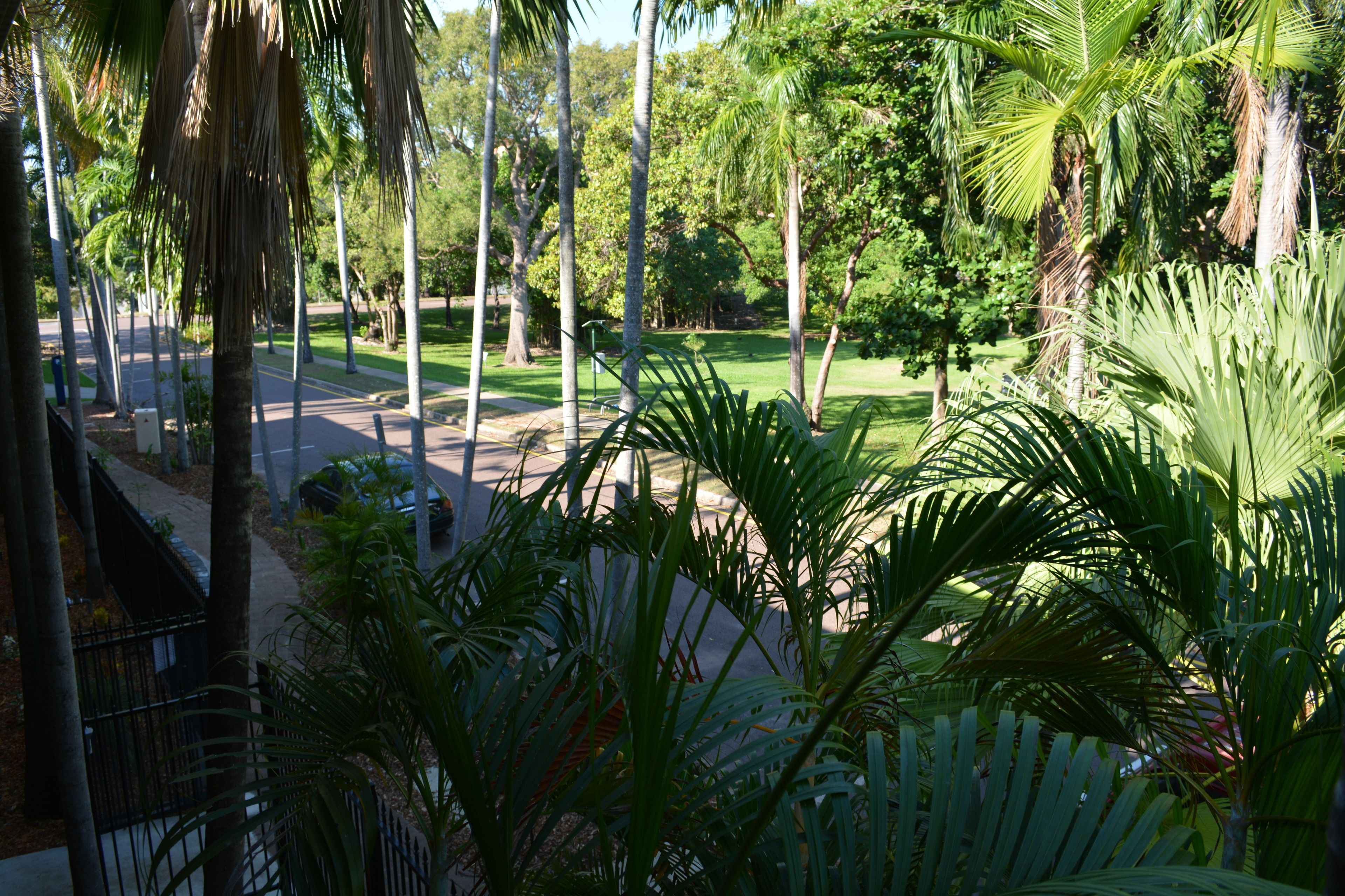 Frogshollow Backpackers