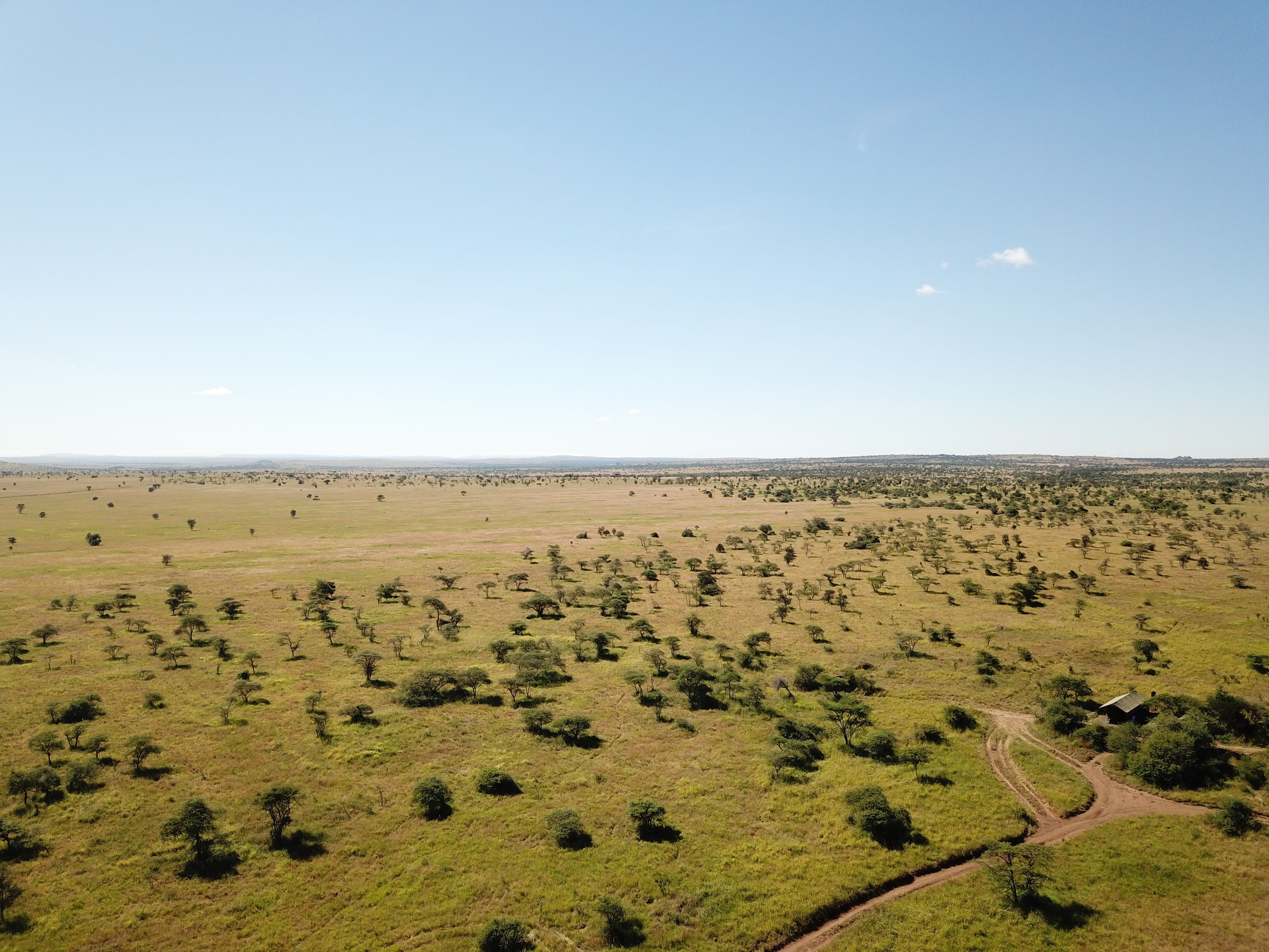 カナンガ スペシャル テンティッド キャンプ 口コミ 部屋写真 料金 お得情報 エクスペディア