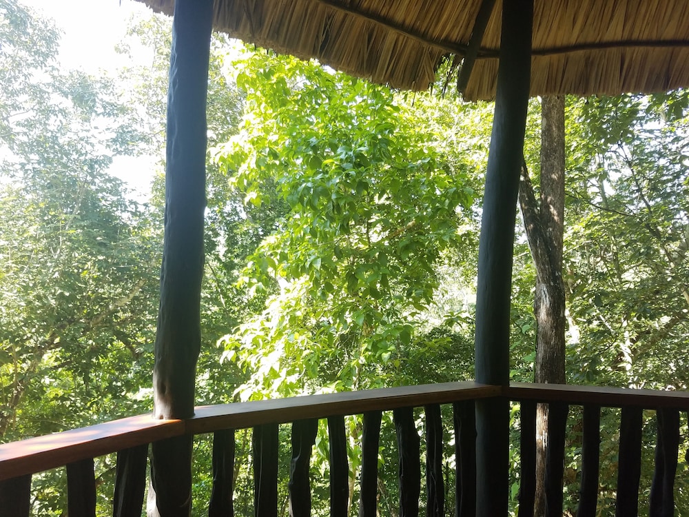 Table Rock Jungle Lodge in San Ignacio Best Rates & Deals on Orbitz