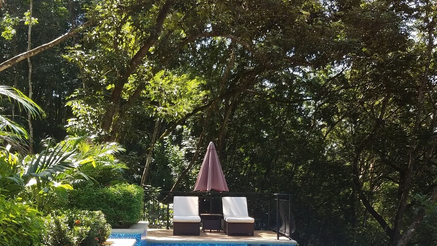 Table Rock Jungle Lodge