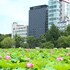 APA Hotel Keisei Ueno-Ekimae
