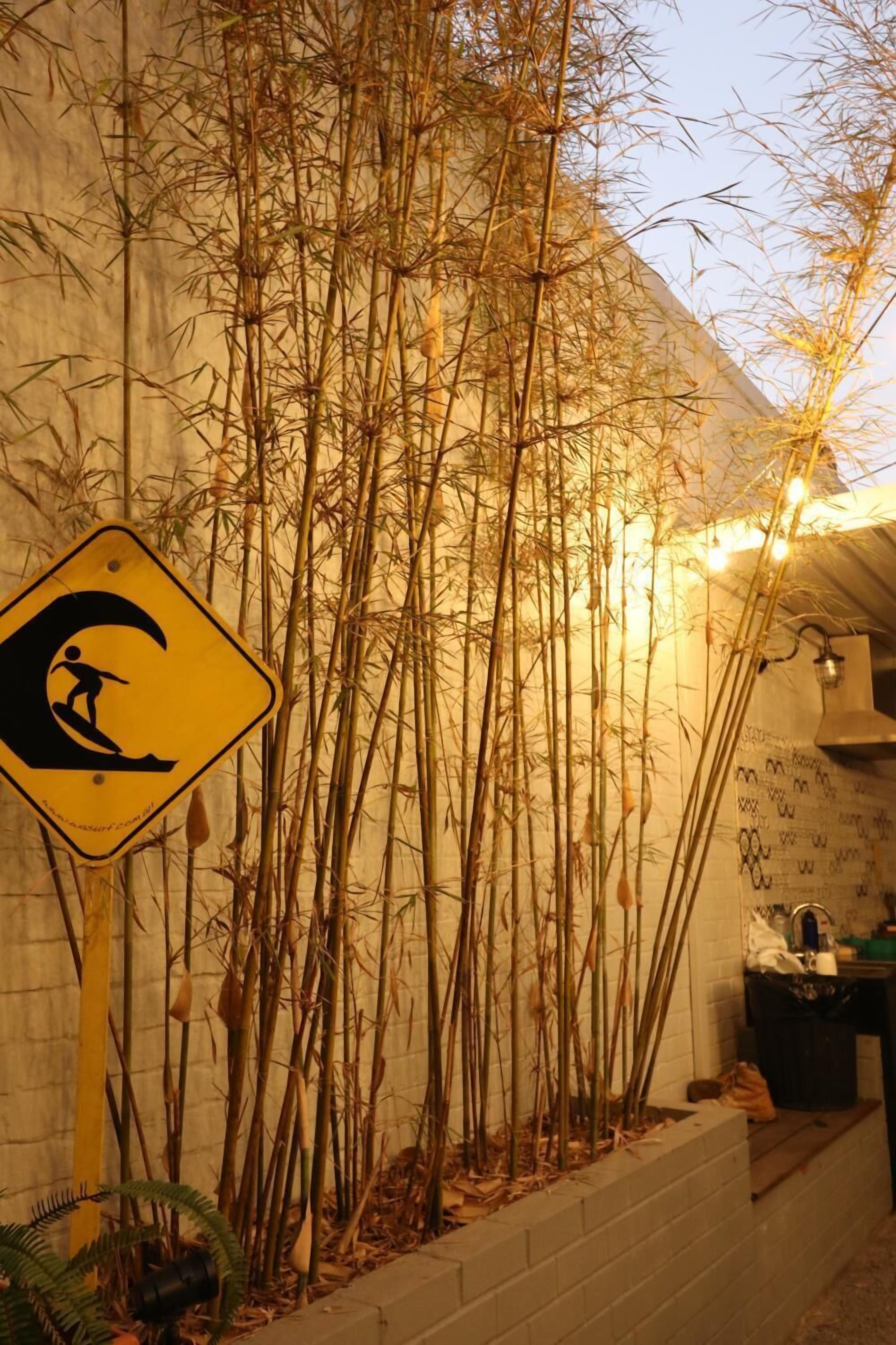 Britannia on William - Hostel