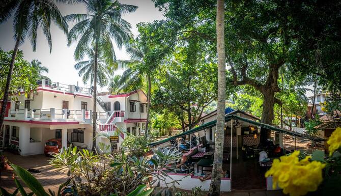 バックパッカー パンダ ゴア 口コミ 部屋写真 料金 お得情報 エクスペディア バックパッカー パンダ ゴア 口コミ 部屋写真 料金 お得情報 エクスペディア