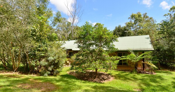Primary image