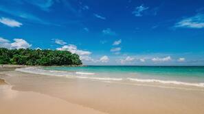 Scuba diving, waterskiing, windsurfing, rowing