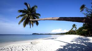 Private beach, scuba diving, waterskiing, windsurfing